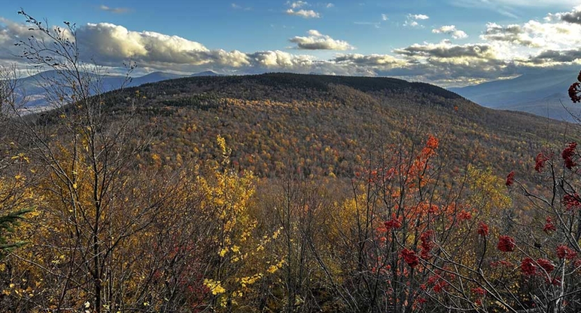 A tree-covered mountain looms in the distance, with fall foliage 